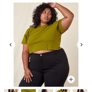 Big Bud Press Honeycomb Cropped Tee Olive Green XS